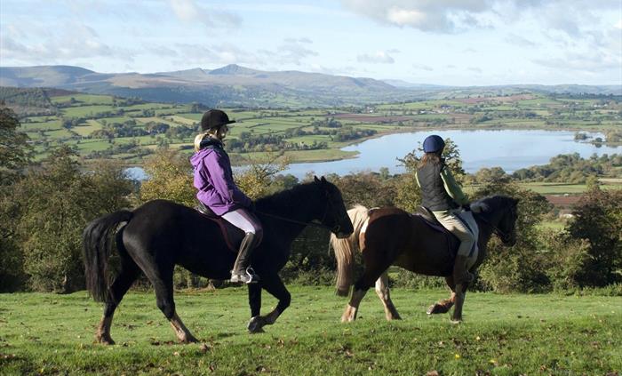 Horse Riding in the Brecon Beacons